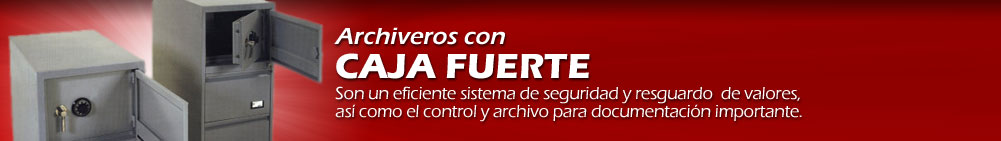 Archiveros con Caja Fuerte - Constituyen un eficiente sistema de protección y seguridad...